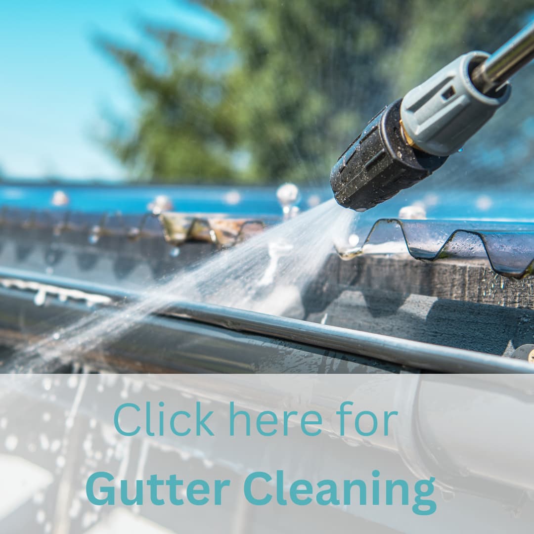 Gutter Cleaning