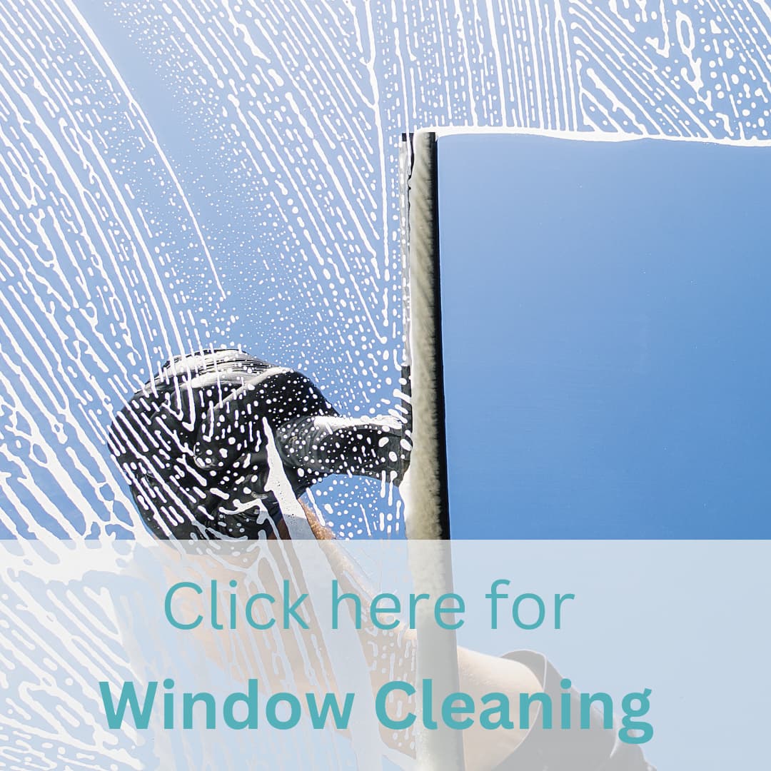 window cleaning